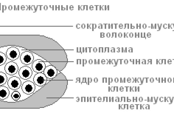 Черный спрут blacksprut adress com