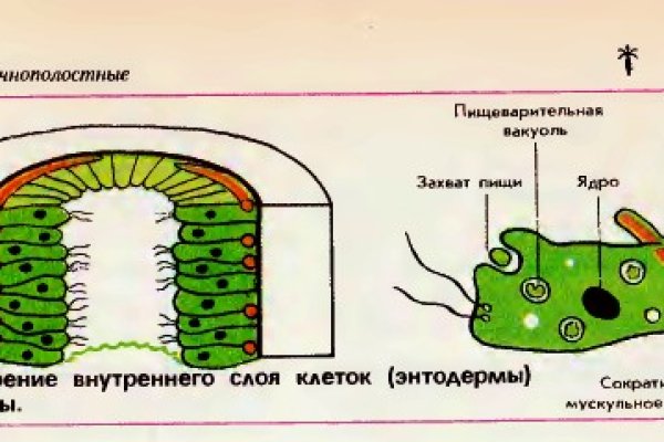 Код blacksprut