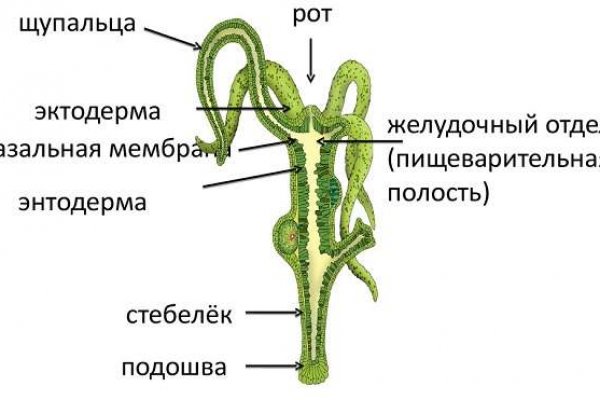 Рабочая ссылка на blacksprut blacksprut wiki